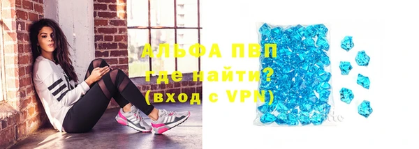 стаф Алексеевка
